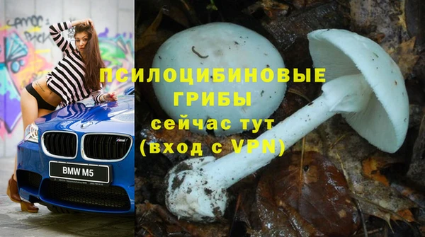 mix Абаза
