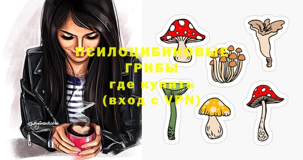 крисы Абинск