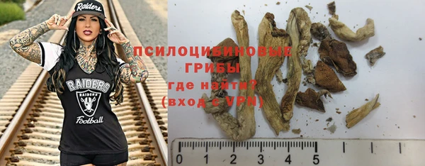 индика Абдулино