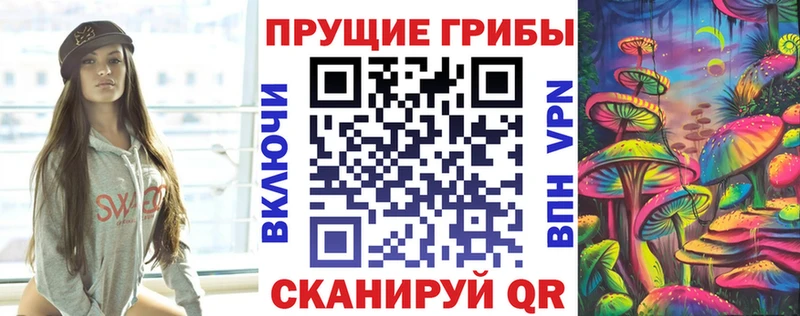 блэк спрут ссылка Соликамск Псилоцибиновые грибы Cubensis